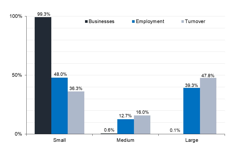Small businesses account for over 99.9% of businesses, whilst accounting for nearly half of employment and over a third of turnover 