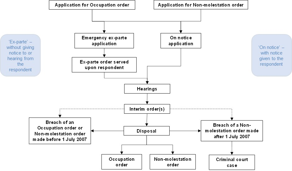 Figure 3: The main court processes for domestic violence remedy cases