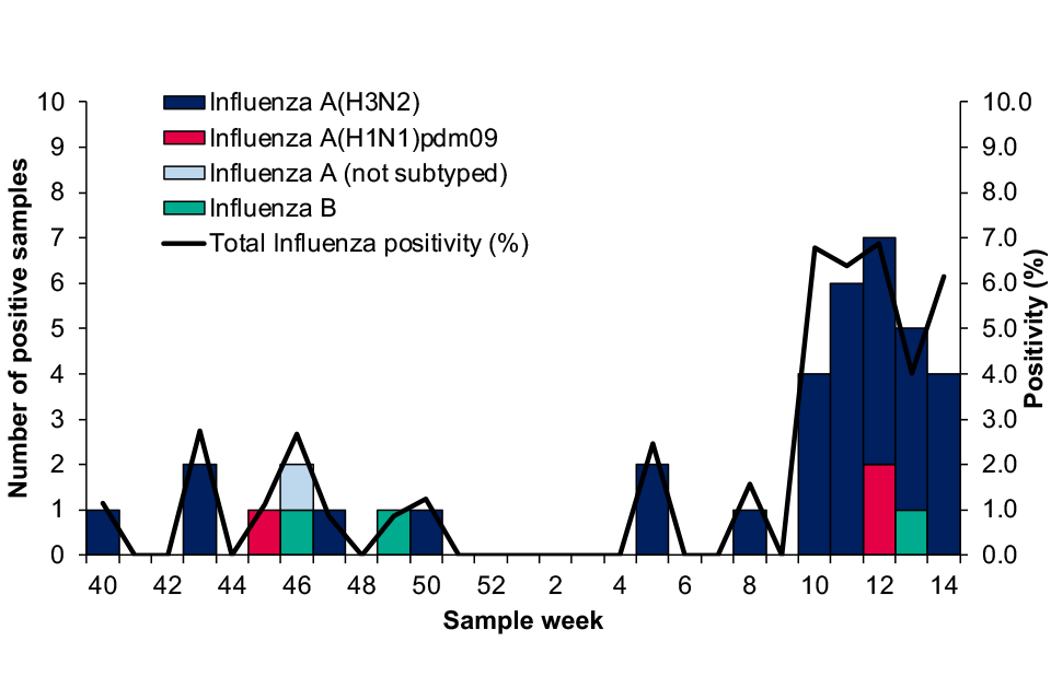 Figure 30